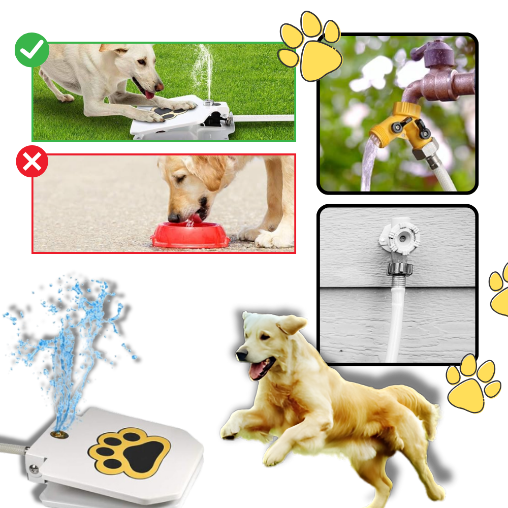 Pets Pawsie® Paw Activated Dog Water Fountain | COD4